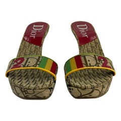 2004 Christian Dior by John Galliano Rasta Diorissimo Canvas Logo Wedge Heels