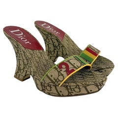 2004 Christian Dior by John Galliano Rasta Diorissimo Canvas Logo Wedge Heels