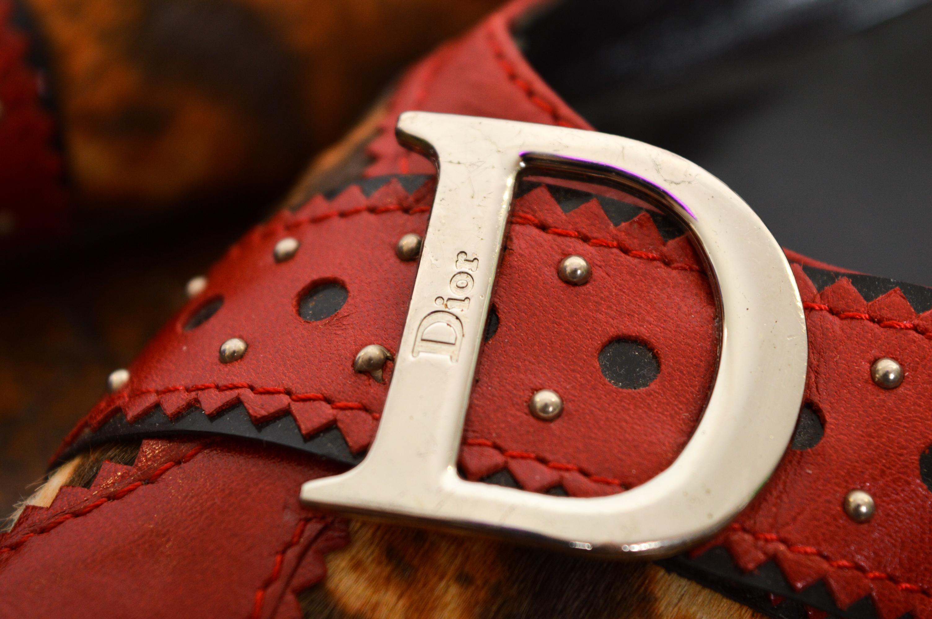 2004 Christian Dior Galliano D’Trick Red Leather Leopard Pointed Kitten Heels For Sale 5