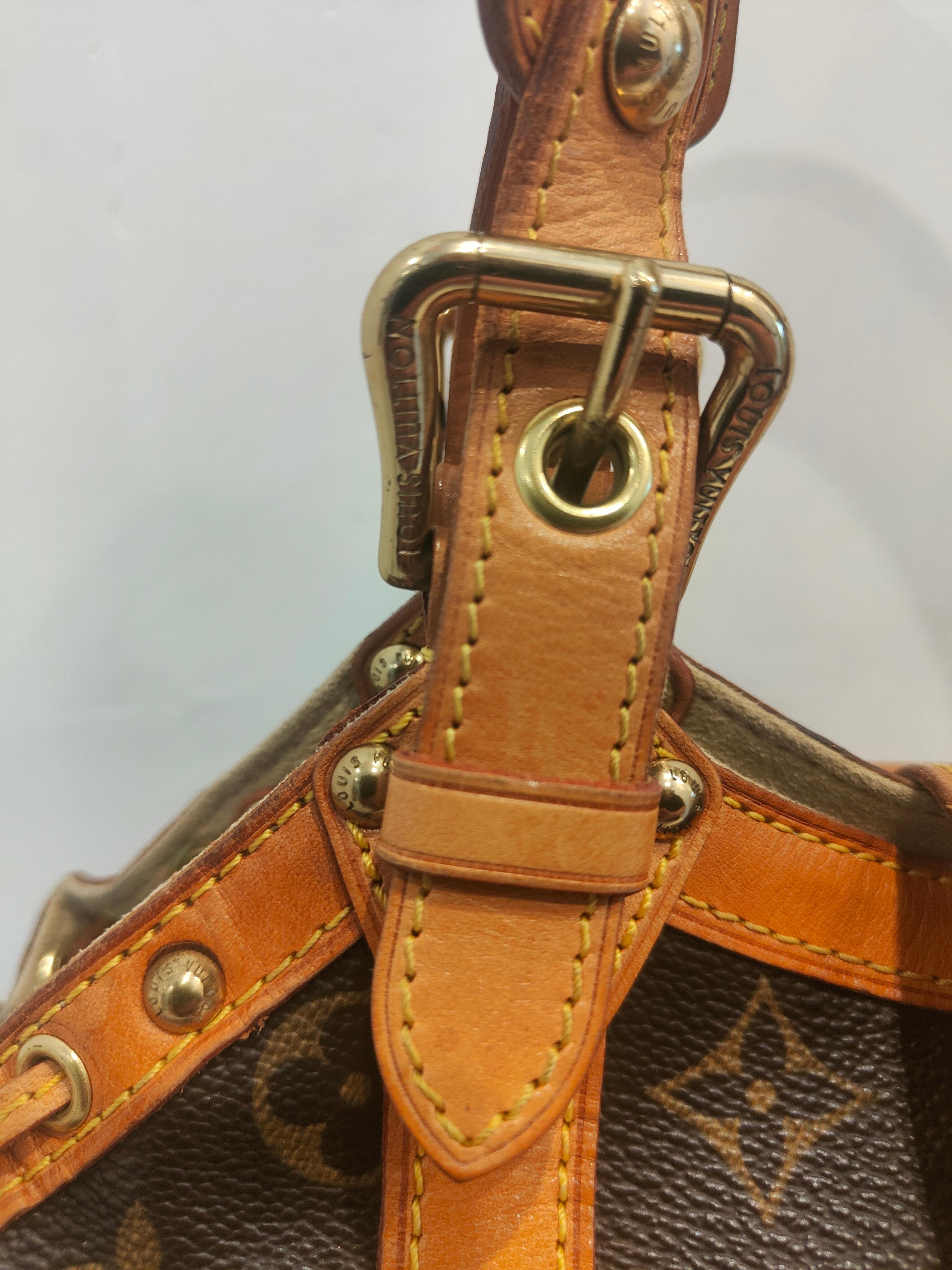2004 Louis Vuitton Theda handlebag 1