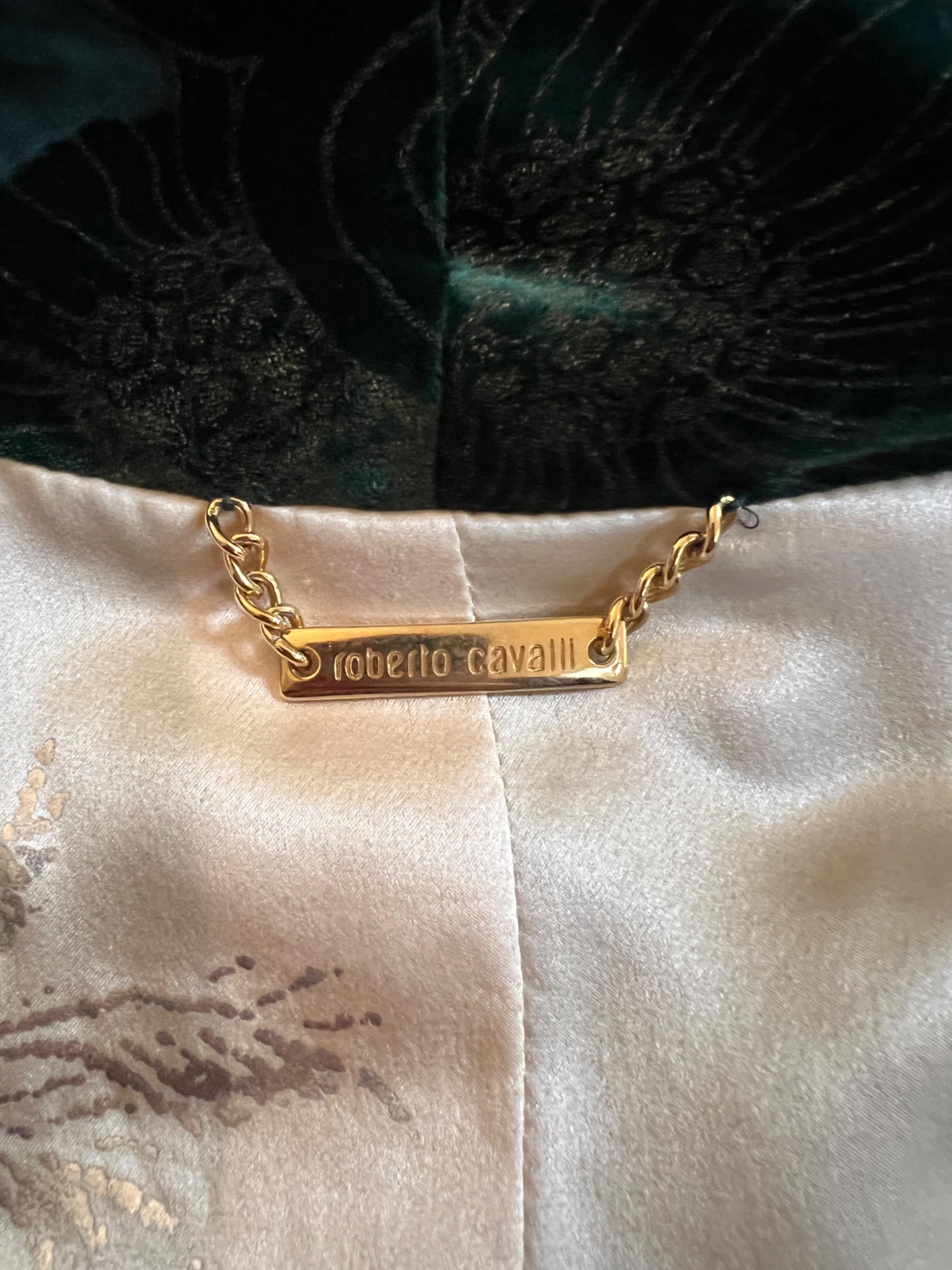 Donna 2006 Roberto Cavalli Runway Greene & Greene Greene in velluto goffrato in vendita