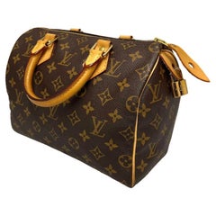 2007 Louis Vuitton Speedy 25