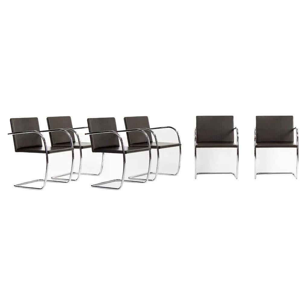 2007 Set of 6 Knoll Brno Tubular Dining Chairs by Mies van der Rohe in Leather For Sale