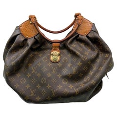 2009 Louis Vuitton Surya Monogram Hobo Bag Leather Limited Edition 