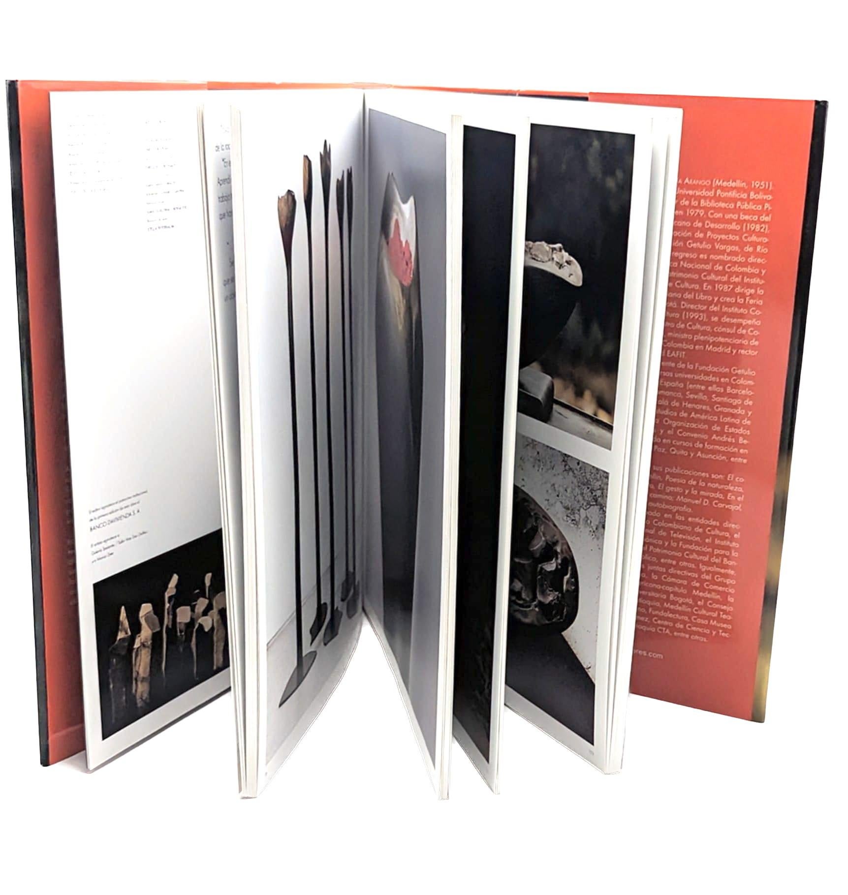 Organique 2009 Livre d'art en langue espagnole : Hugo Zapata par Juan Luis Mejía Arango en vente