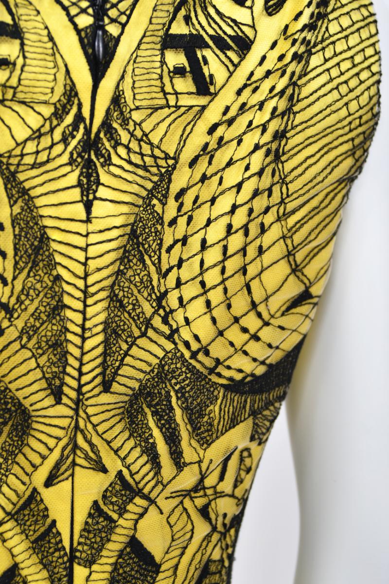 2010 Alexander McQueen Documented Insect Embroidered Net-Lace Yellow Mini Dress For Sale 13