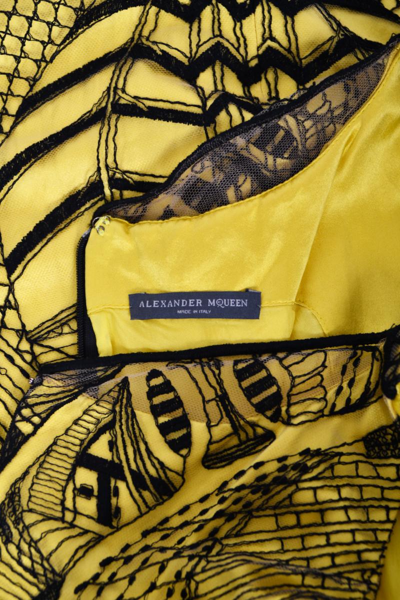 2010 Alexander McQueen Documented Insect Embroidered Net-Lace Yellow Mini Dress For Sale 14
