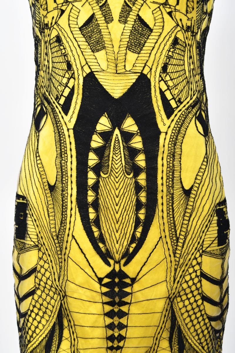 2010 Alexander McQueen Documented Insect Embroidered Net-Lace Yellow Mini Dress For Sale 6