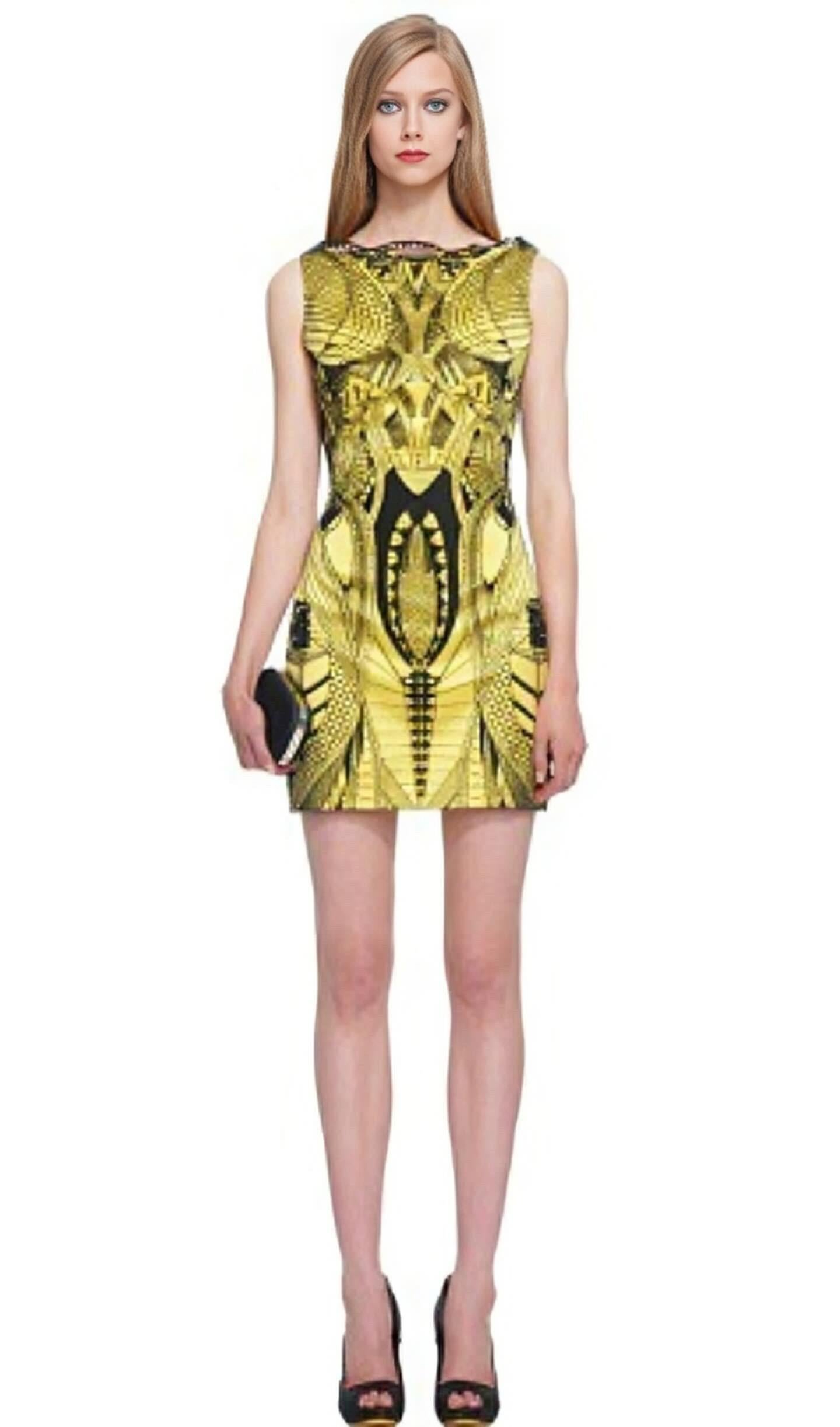 2010 Alexander McQueen Documented Insect Embroidered Net-Lace Yellow Mini Dress For Sale 3