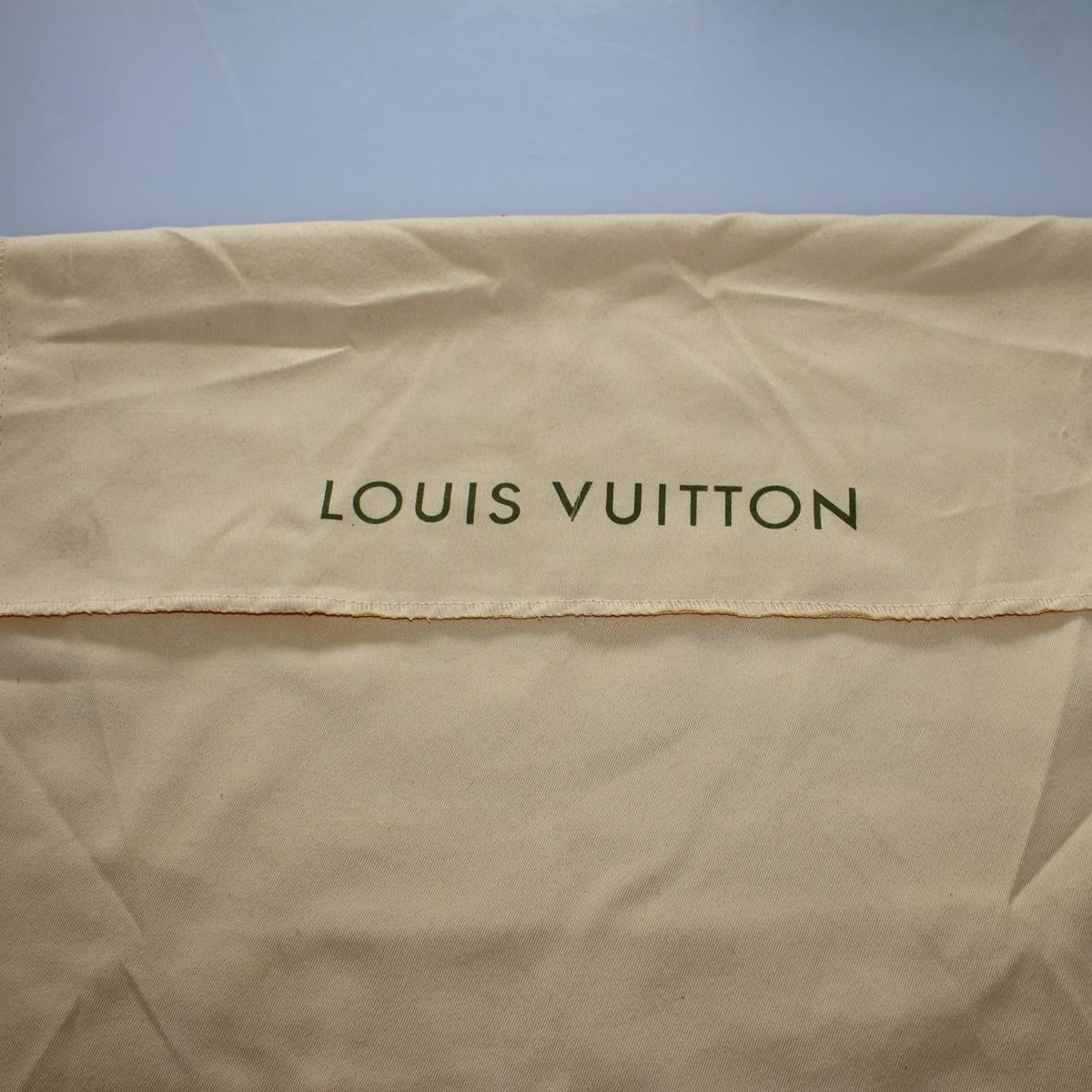 2010 Louis Vuitton White Handbag 2