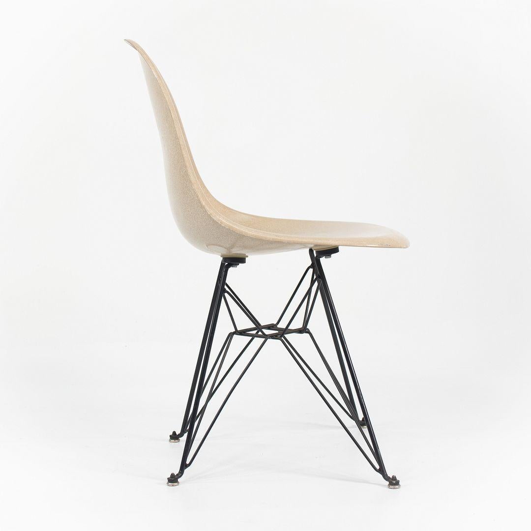 This is a set of three Eames DSR Chairs, originally designed by Ray and Charles Eames in the 1950s. These particular examples were produced by Modernica in the USA in the 2010s. The chairs feature molded fiberglass shells in an oatmeal color, and