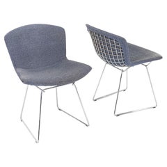 2011 Paire de chaises d'appoint en fil de fer Harry Bertoia pour Knoll avec coussinets complets