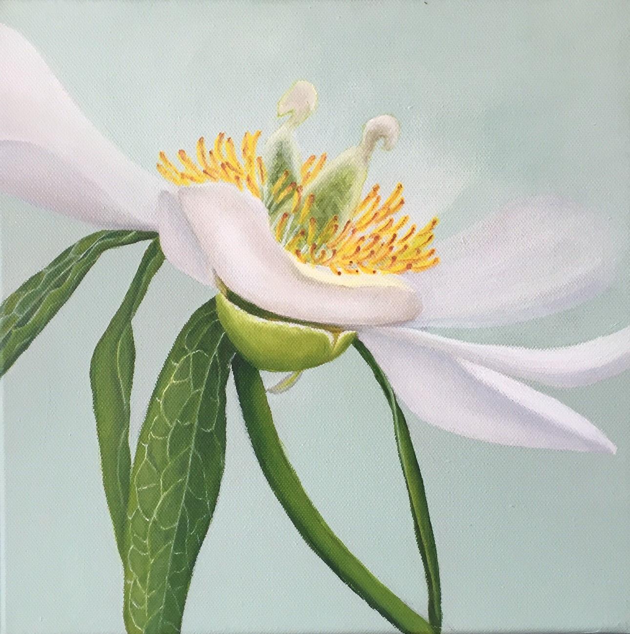 A collection of 4 close-up vividly colored and almost stylistic oil on canvas paintings of respectively a white peony, a blue tulip, a dahlia and a cutleaf coneflower.

About the artist:

Esther Hansen grew up in the countryside and now lives on a