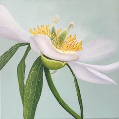 2013 Esther Hansen Kollektion von vier Blumengemälden