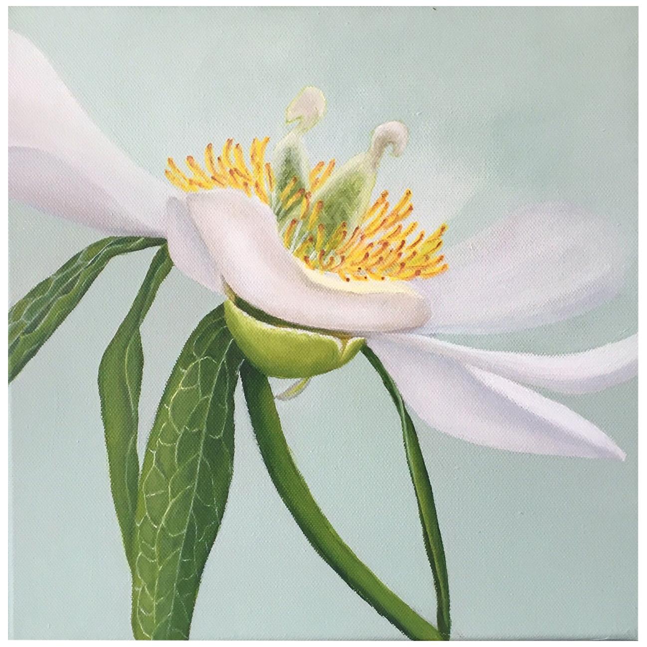 2013 Esther Hansen White Peony, Danish Painting