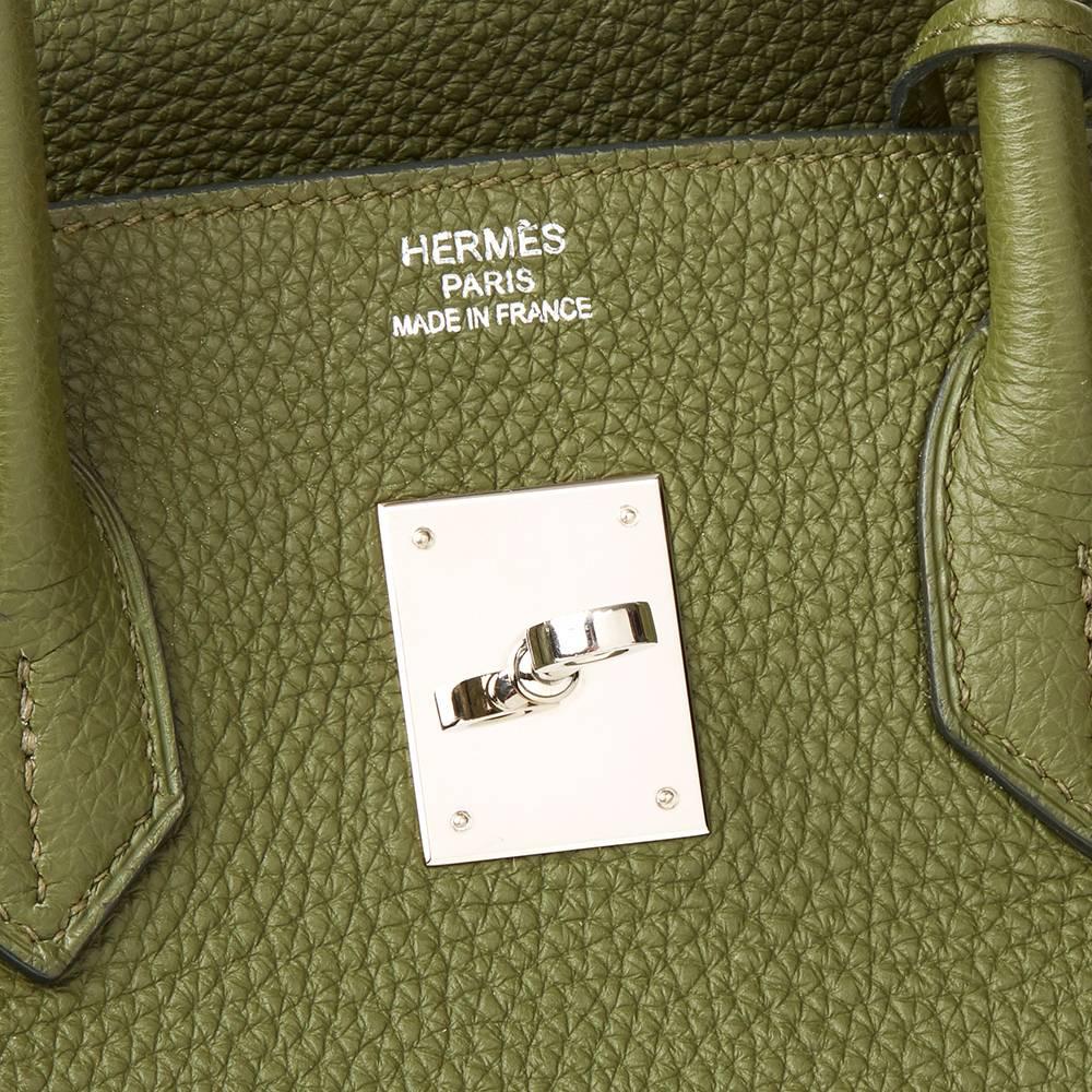 2013 Hermes Canopee Togo Leather Birkin 35cm 1