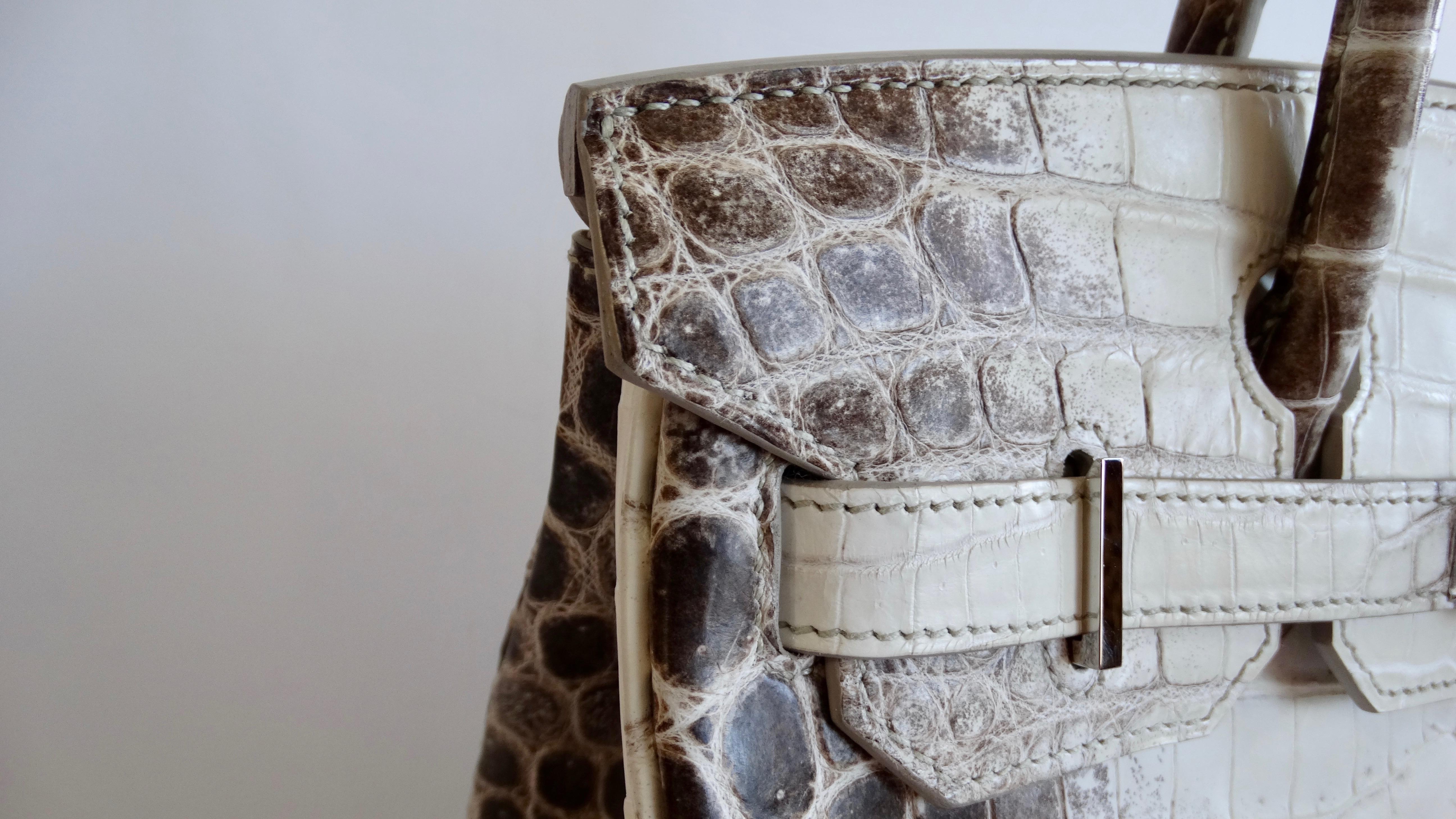 Hermés 2014 Matte Niloticus Himalayan Crocodile 30cm Birkin 9