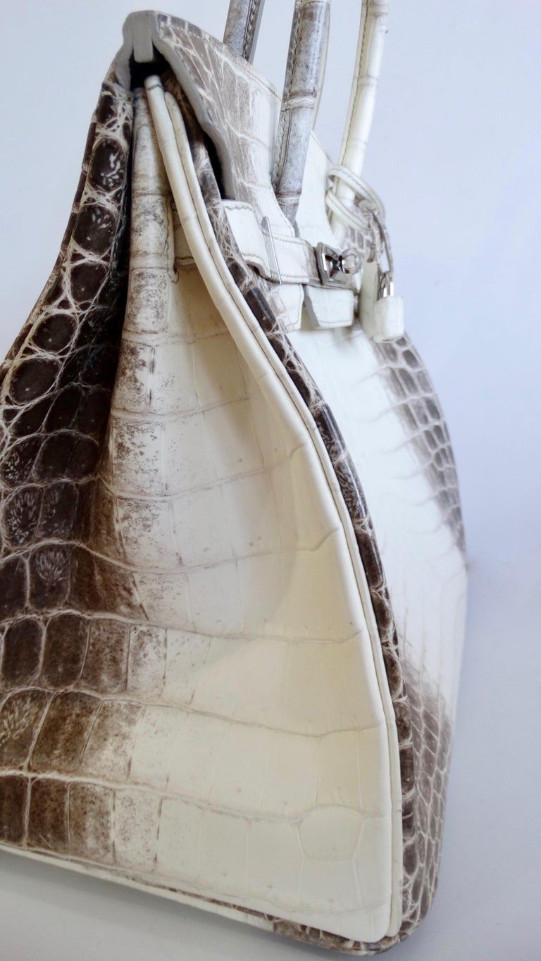 Hermes Niloticus Crocodile Himalaya Birkin Bags Literacy Basics