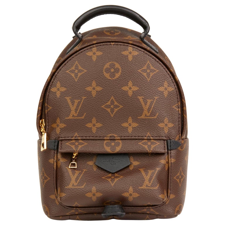 2017 Louis Vuitton Brown Monogram Coated Canvas Mini Palm Springs Backpack  at 1stDibs