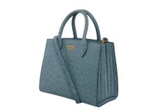 2017 Prada Bilbioteqhue ostrich