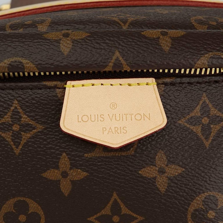 2018 Louis Vuitton Brown Monogram Coated Canvas Bumbag at 1stDibs
