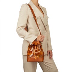 2019 Fendi Brown Calfskin Leather & Monogram PVC Mon Tresor Bucket Bag