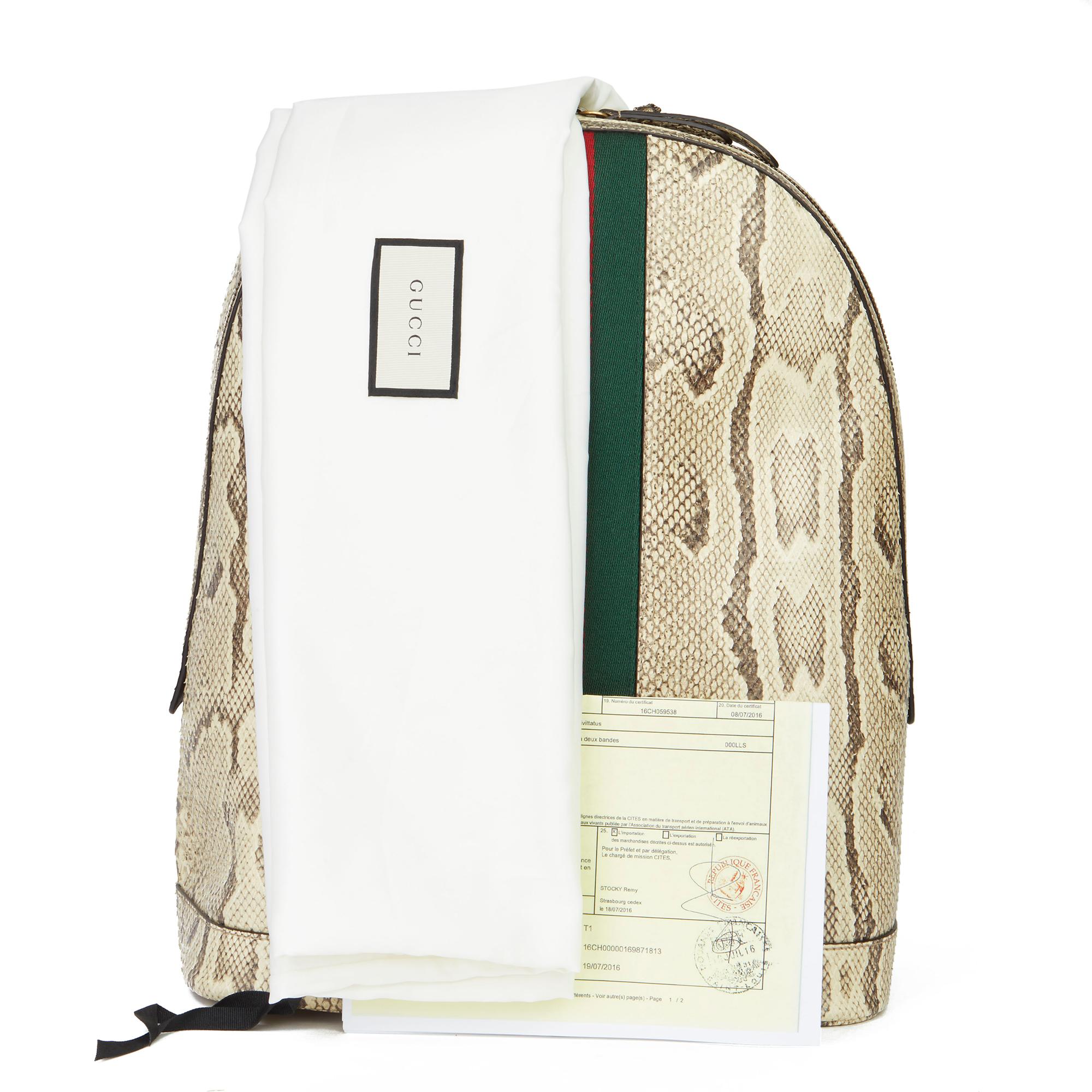 2019 Gucci Natural Animalier Python Leather & Web Backpack 6