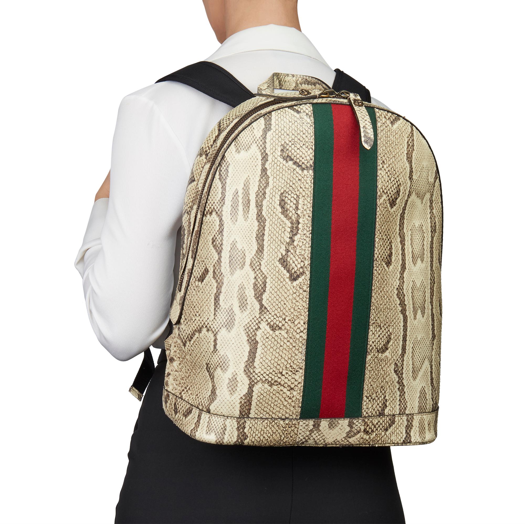 2019 Gucci Natural Animalier Python Leather & Web Backpack 7