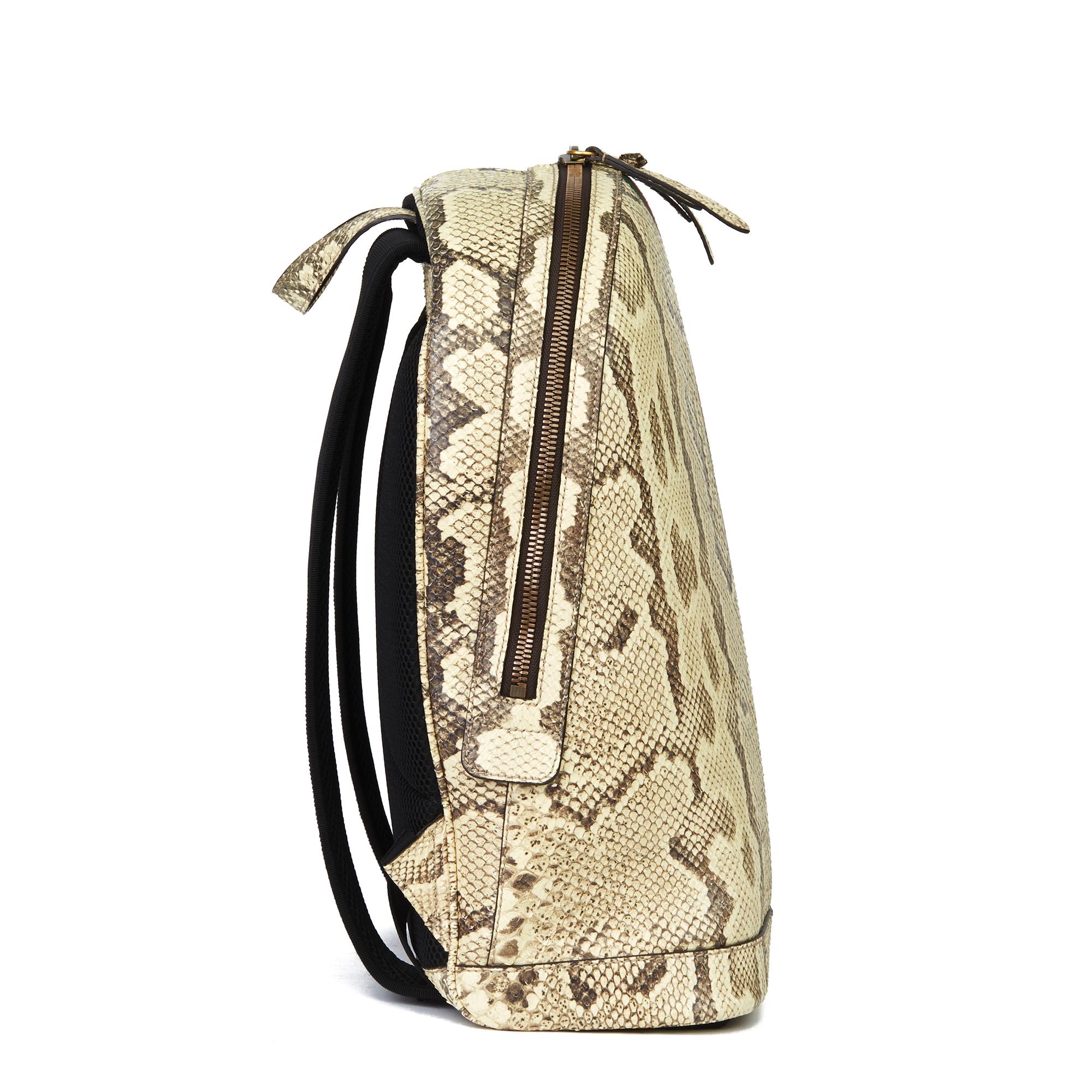 gucci python backpack