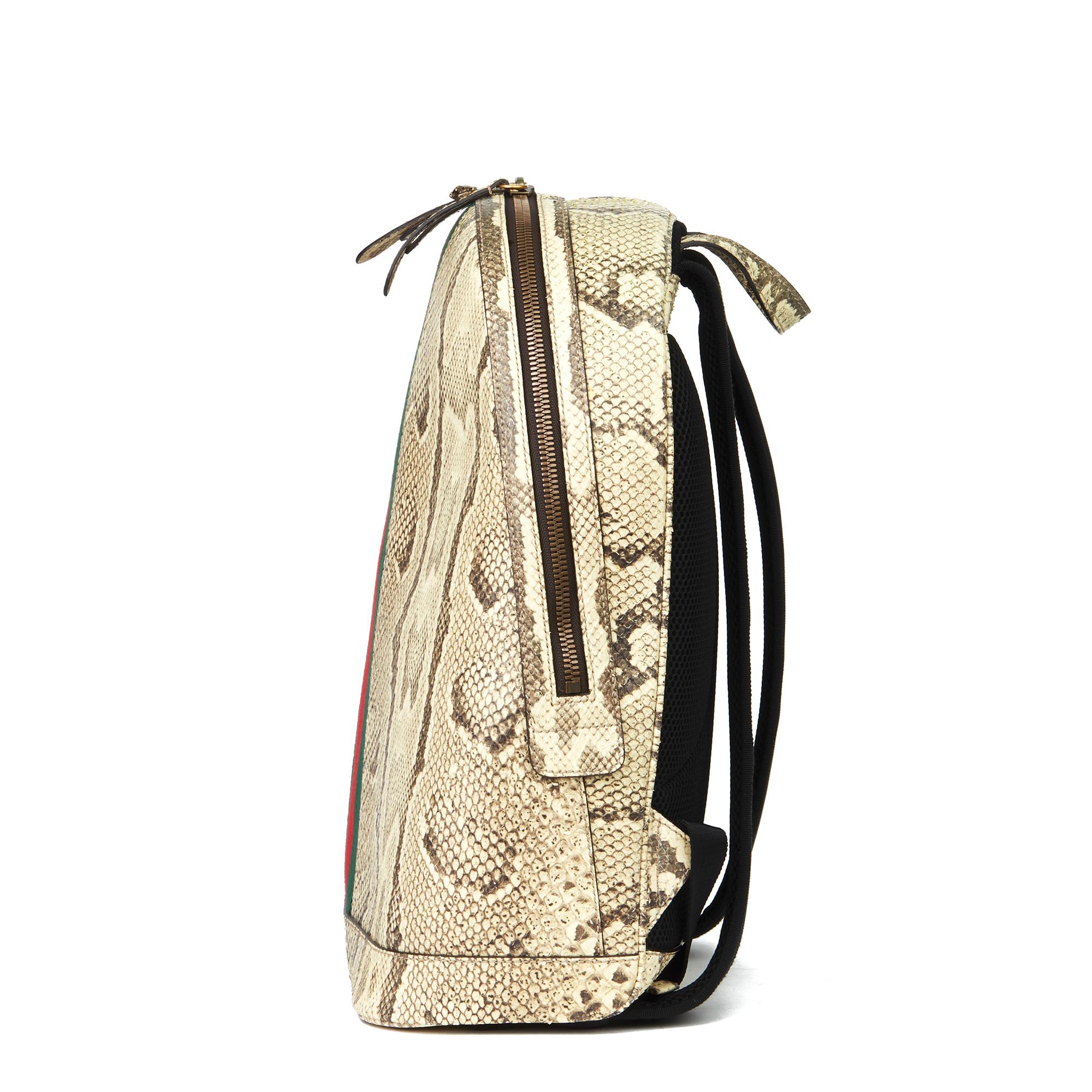gucci python backpack