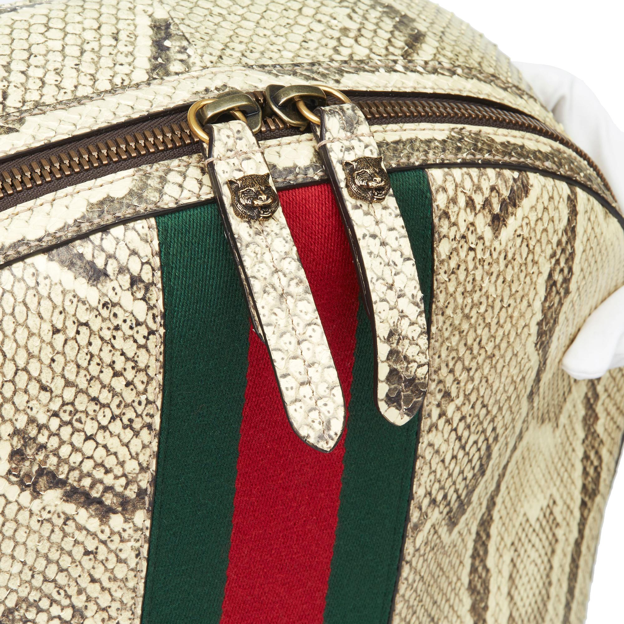 2019 Gucci Natural Animalier Python Leather & Web Backpack 1
