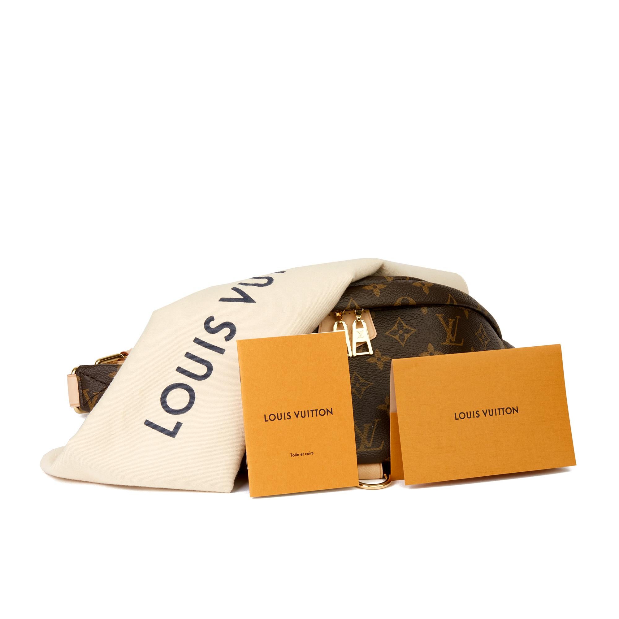 2019 Louis Vuitton Brown Monogram Coated Canvas Bum Bag 6