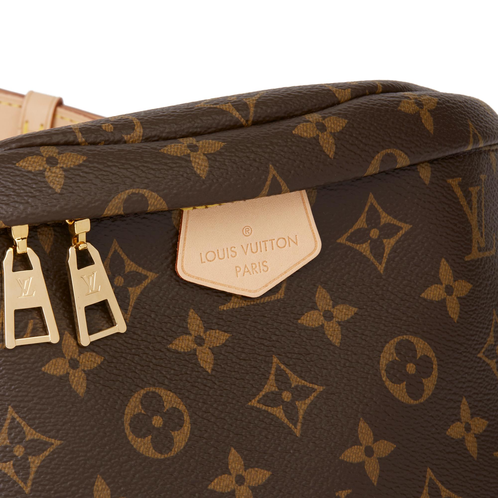 2019 Louis Vuitton Brown Monogram Coated Canvas Bum Bag 2
