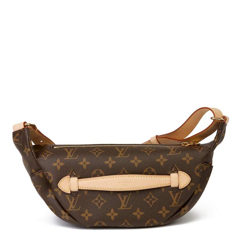 2019 Louis Vuitton Brown Monogram Coated Canvas Bum Bag at 1stDibs