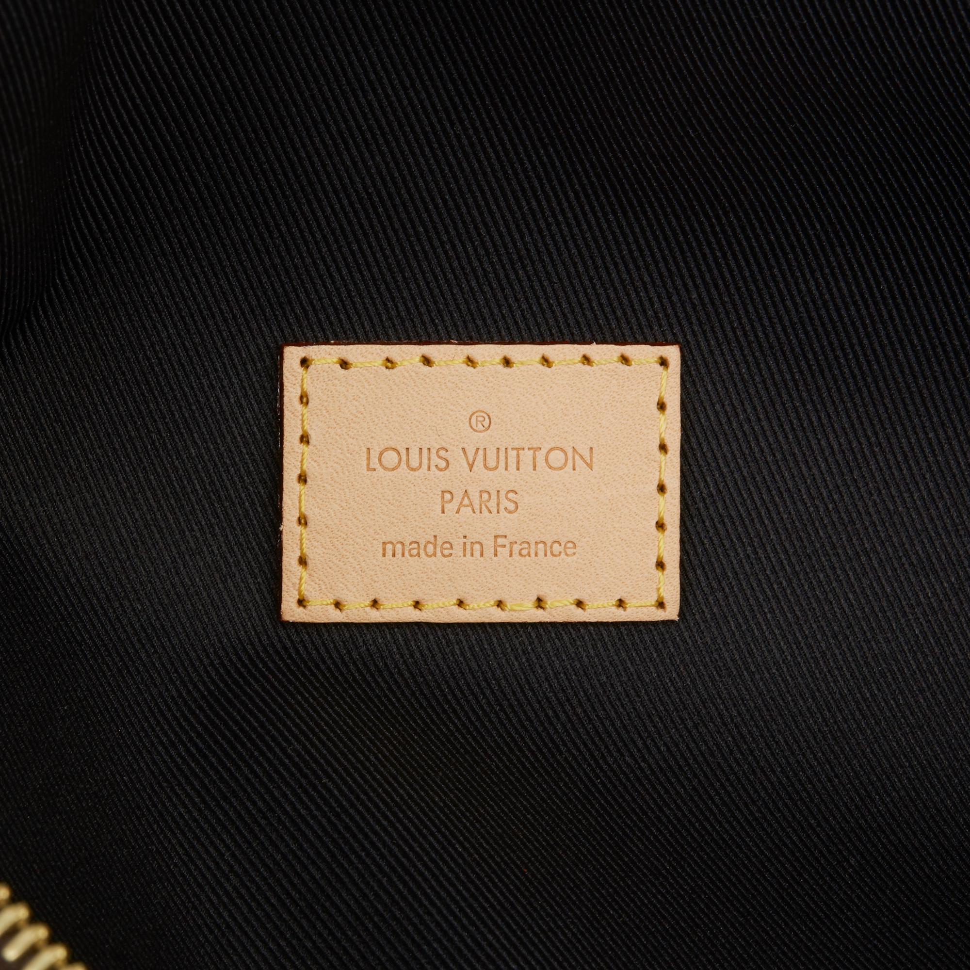 2019 Louis Vuitton Brown Monogram Coated Canvas Bum Bag 4