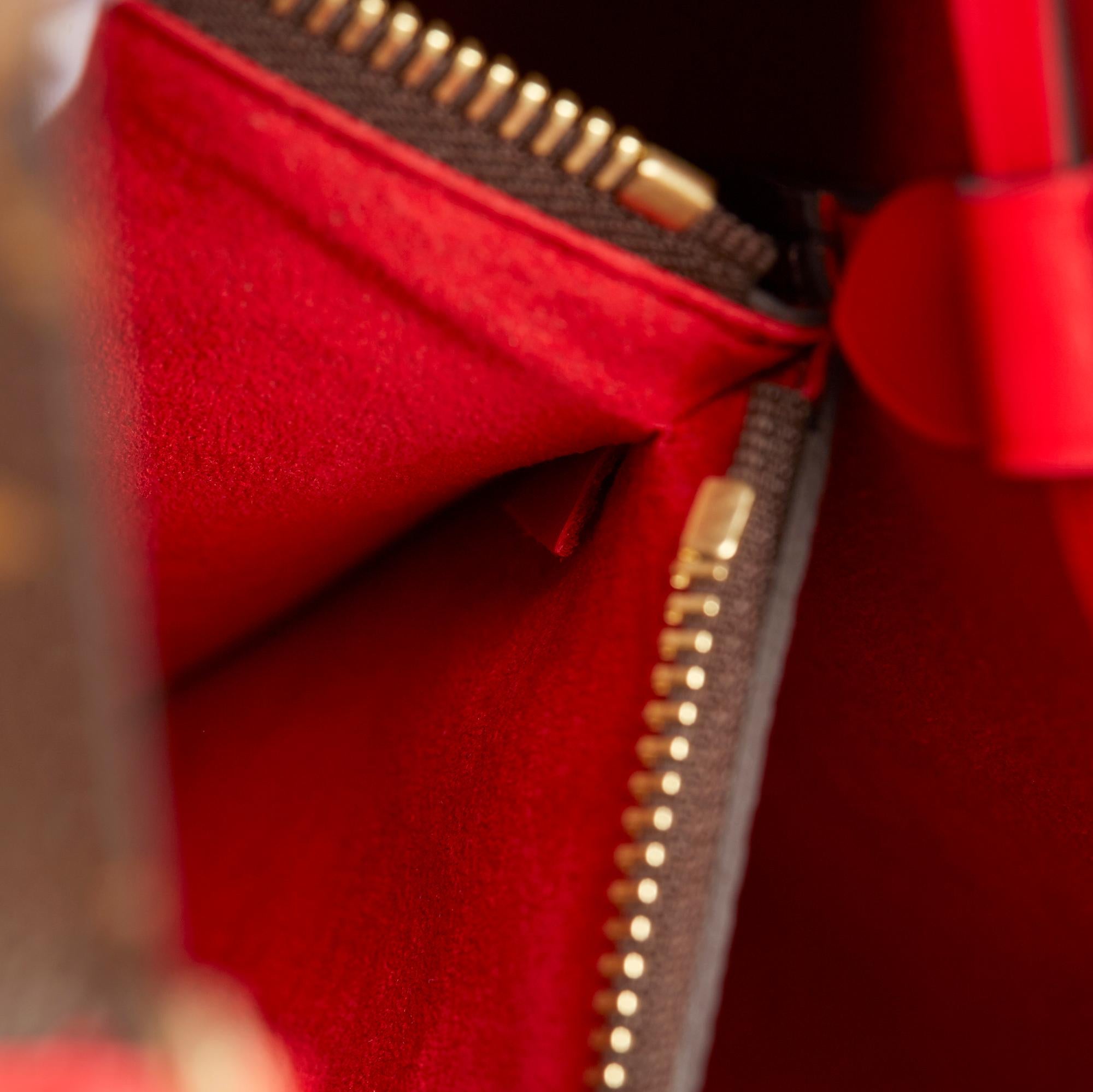 2019 Louis Vuitton Coquelicot Leather & Brown Monogram Coated Canvas Néo Noé 5