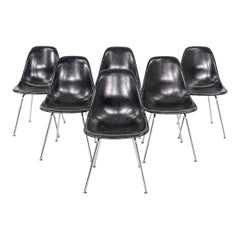 2019 Ensemble de six chaises d'appoint Eames Modernica en fibre de verre, noir