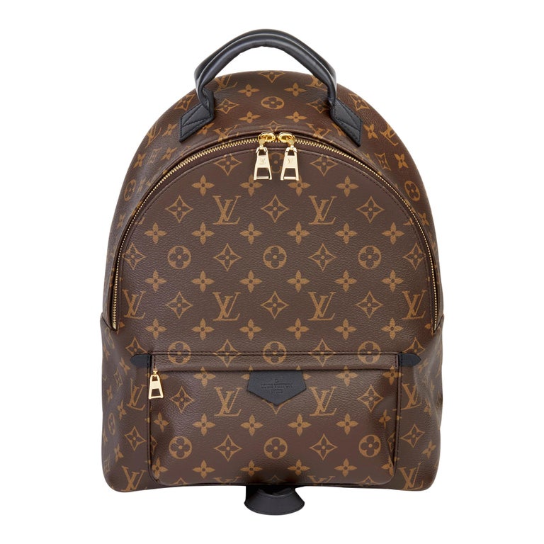 Louis Vuitton Palm Springs Backpack Airline Leather with Monogram