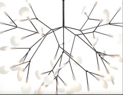 2022 Bertjan Pot para MOOOI Heracleum III Lámpara suspendida grande en níquel 3x Disponible