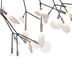 2022 Heracleum II Suspended Large Pendant Lamp in Nickel by Bertjan Pot