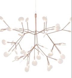 Lampe suspendue Heracleum Small II en cuivre de Bertjan Pot pour MOOOI, 2022