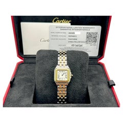 2025 Cartier Panthere Small W2PN0013 23mm 18K Yellow Gold Steel Box Paper