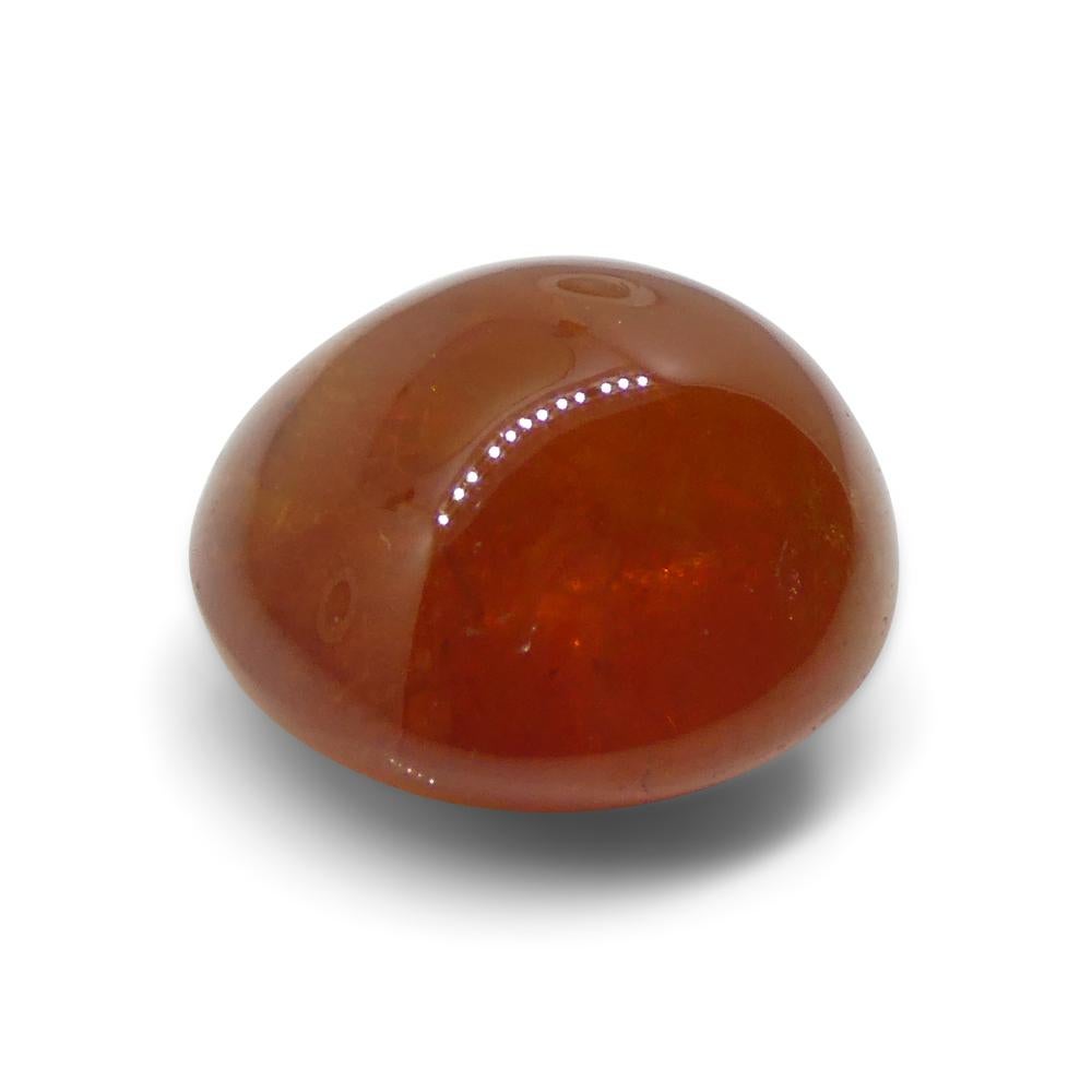 20.32ct Oval Cabochon Orange Spessartine Garnet from Nigeria For Sale 7