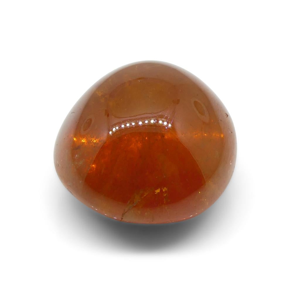 20.32ct Oval Cabochon Orange Spessartine Garnet from Nigeria In New Condition For Sale In Toronto, Ontario