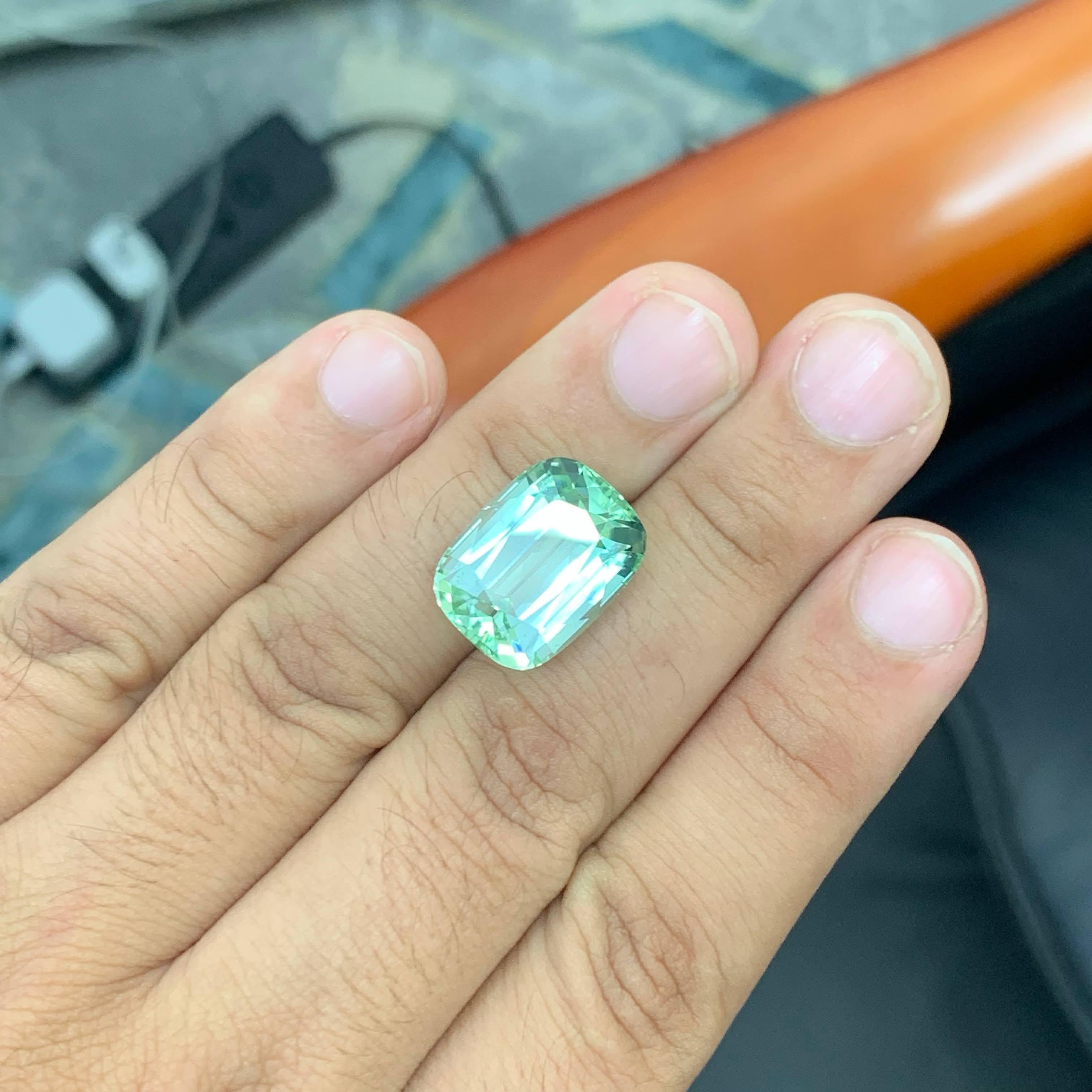 20,45 Karat Natürlicher loser hellgrüner Turmalin Cushion-Schliff Afrika Edelstein im Angebot 5