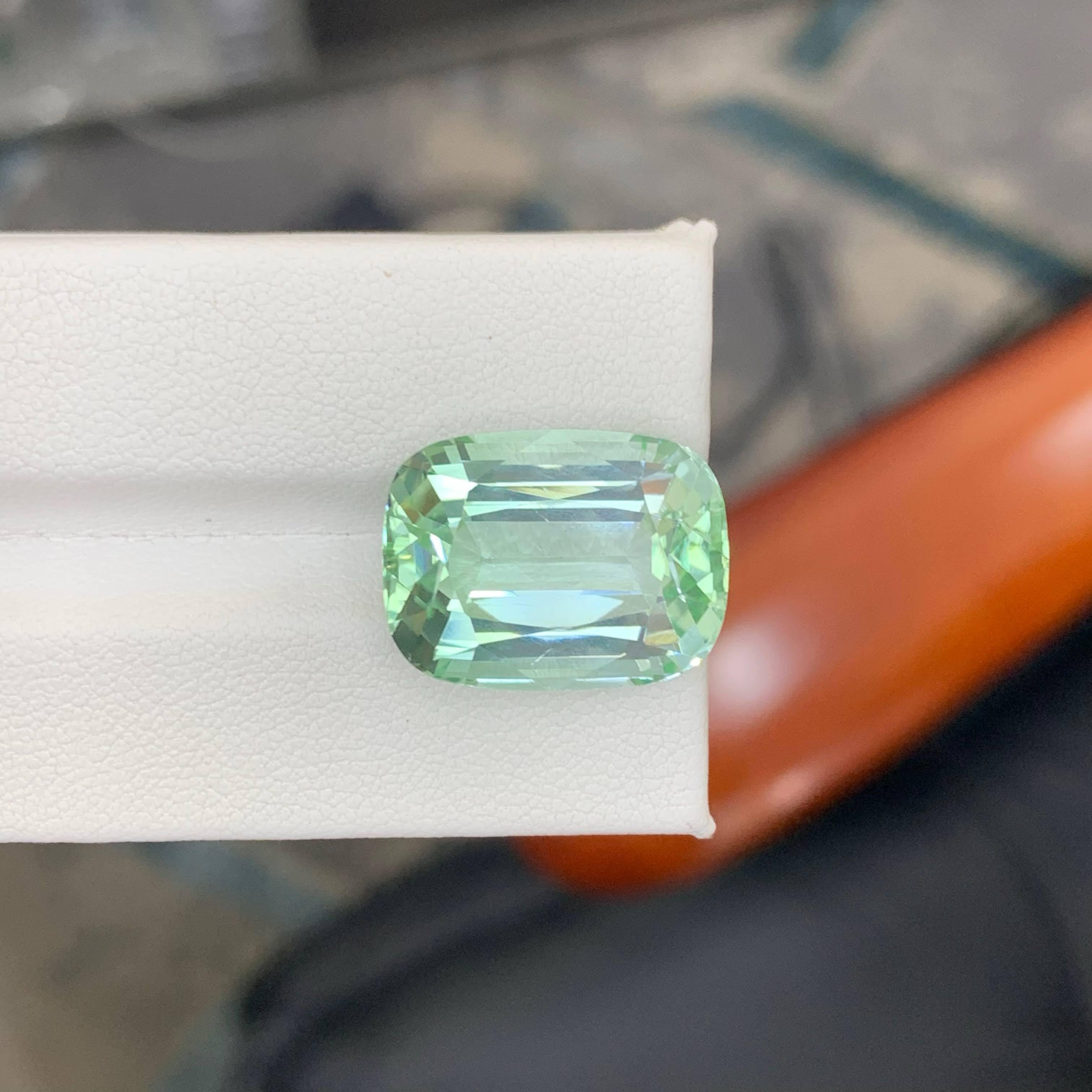 20,45 Karat Natürlicher loser hellgrüner Turmalin Cushion-Schliff Afrika Edelstein (Moderne) im Angebot