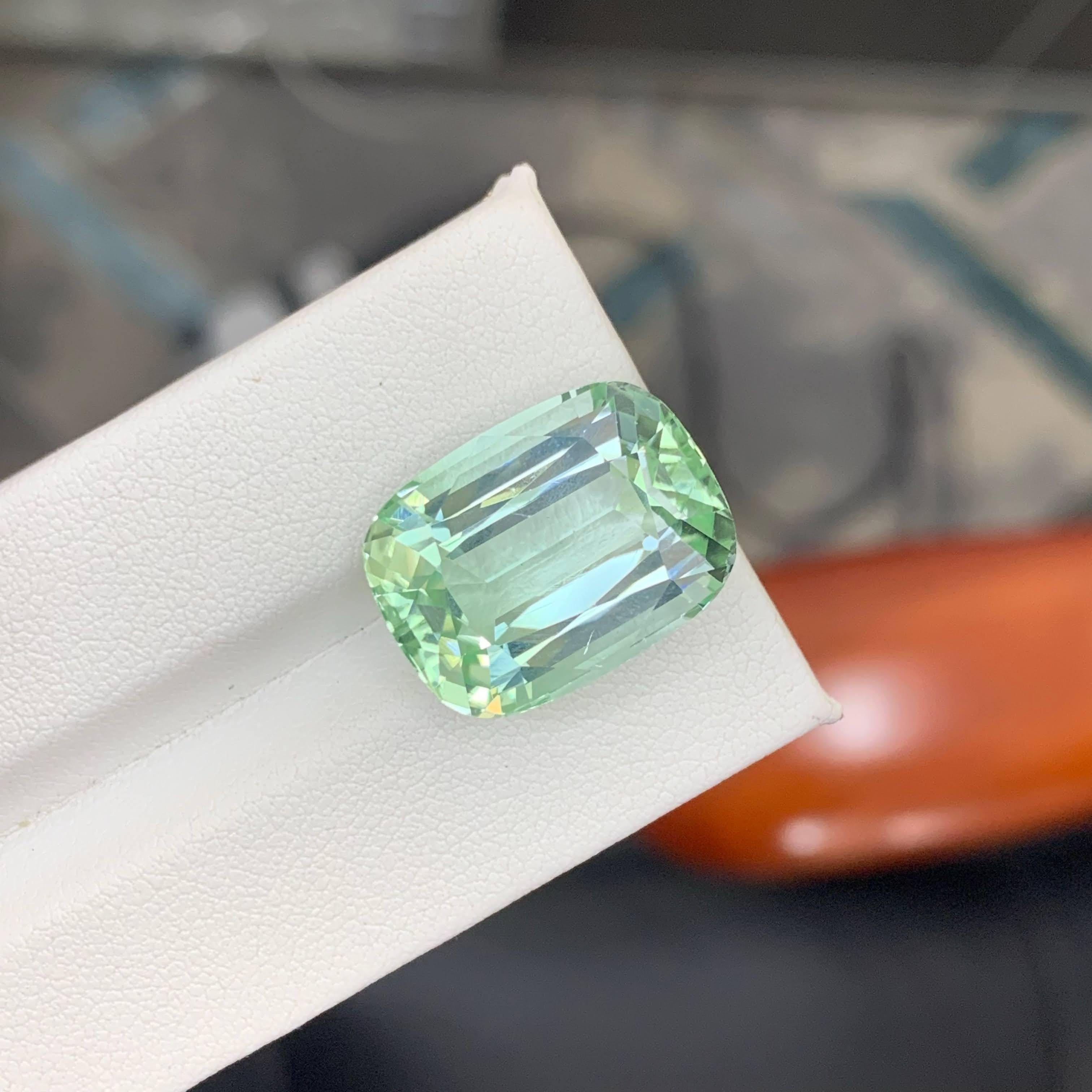 20,45 Karat Natürlicher loser hellgrüner Turmalin Cushion-Schliff Afrika Edelstein (Kissenschliff) im Angebot