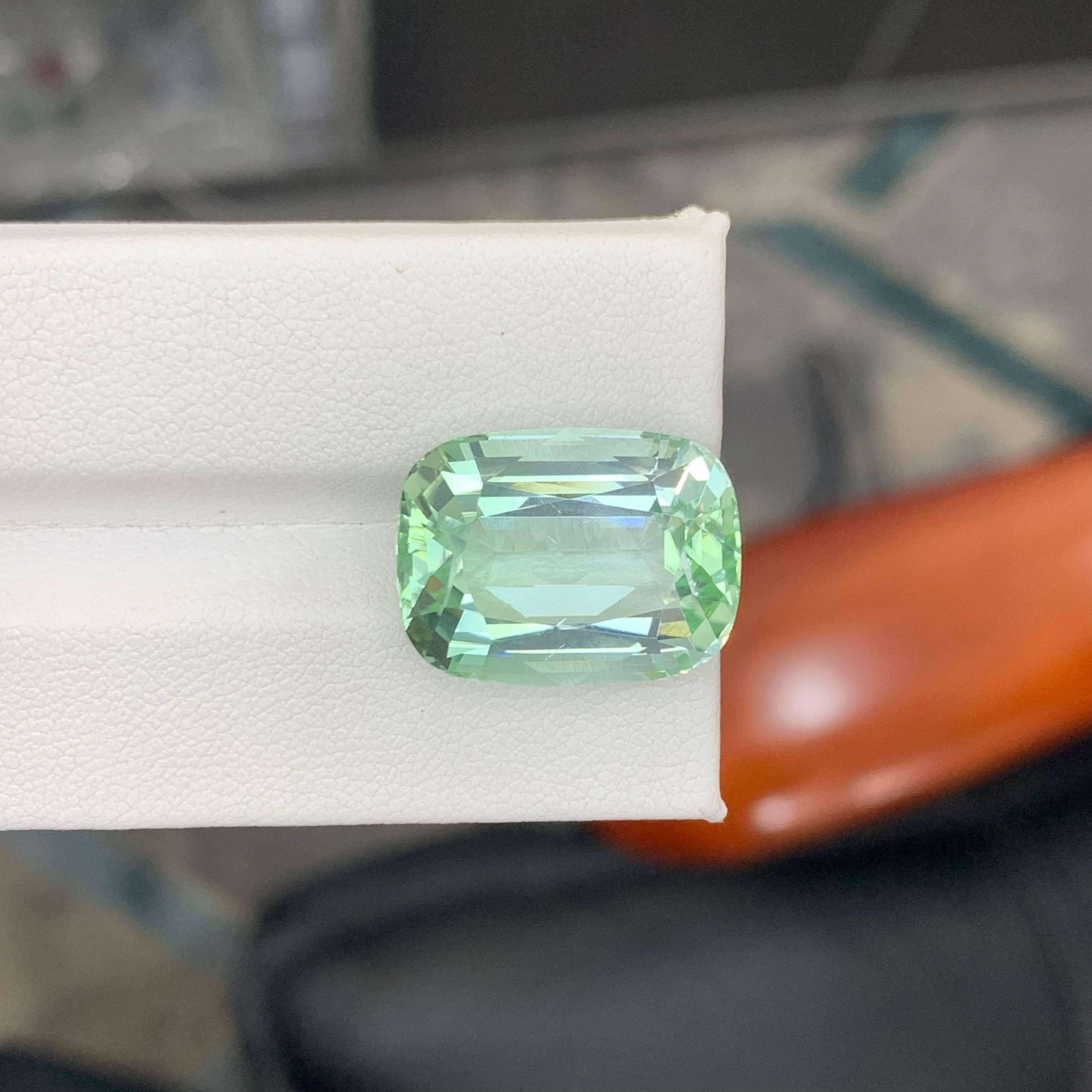 20,45 Karat Natürlicher loser hellgrüner Turmalin Cushion-Schliff Afrika Edelstein für Damen oder Herren im Angebot