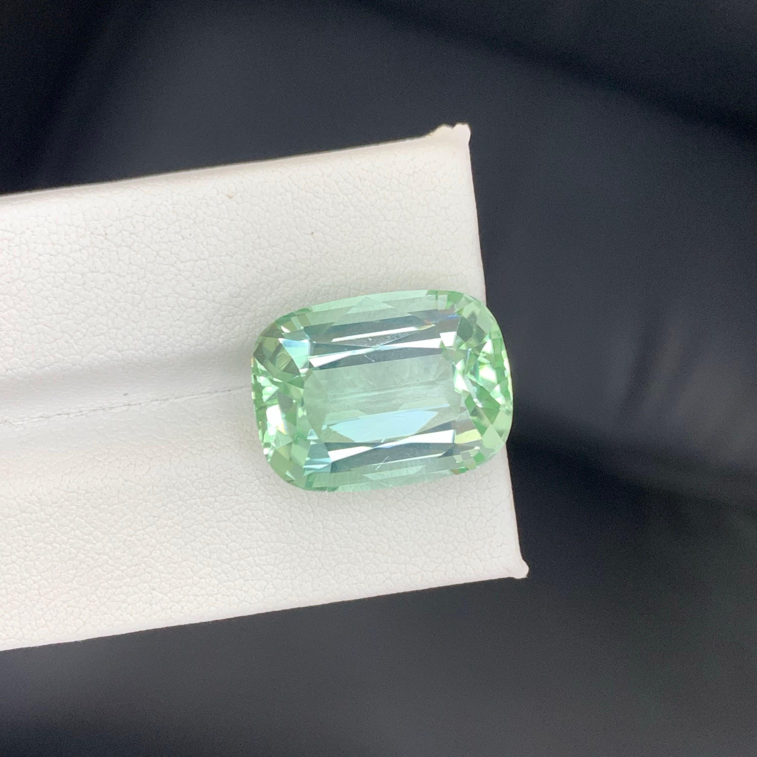20,45 Karat Natürlicher loser hellgrüner Turmalin Cushion-Schliff Afrika Edelstein im Angebot 1