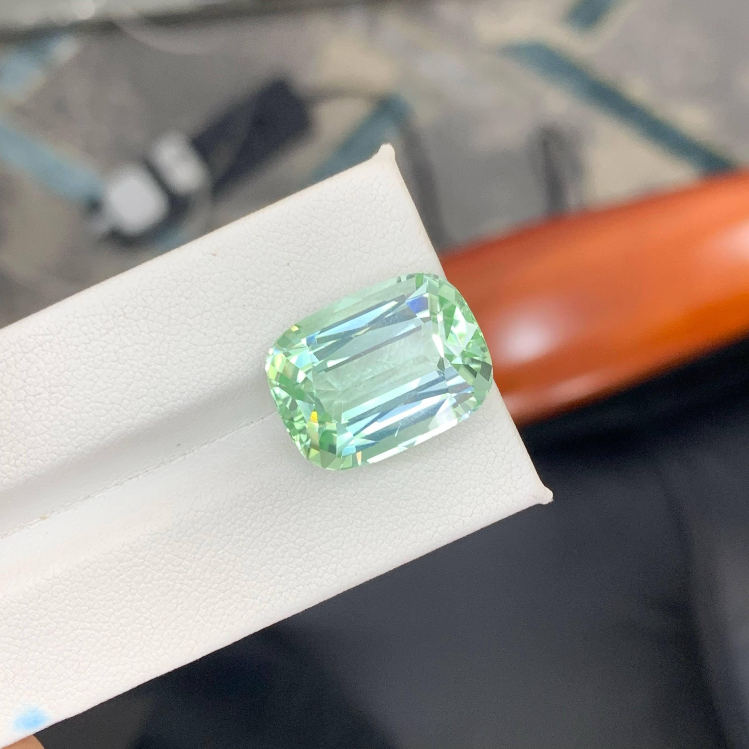 20,45 Karat Natürlicher loser hellgrüner Turmalin Cushion-Schliff Afrika Edelstein im Angebot 2